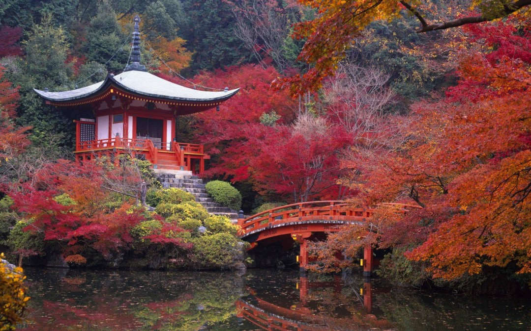 Yoga Retreat to Kyoto Japan! May 2017